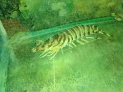 -辉哥火锅(虹桥路店)