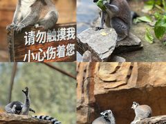 -北京野生动物园