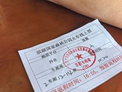 -合肥滨湖国家森林公园