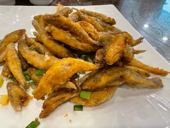 -长平肥姐白粥·海鲜打冷