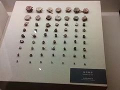 -昂昂溪遗址博物馆