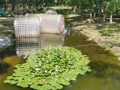 -长白岛森林公园