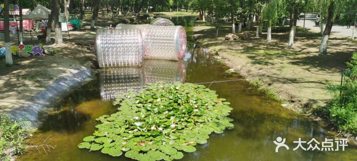 长白岛森林公园图片