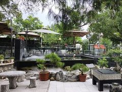 -蘇河湾·新鲁菜·泰山宴(泰山店)