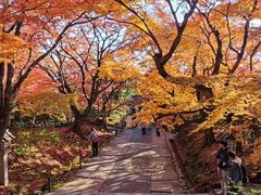 -常寂光寺