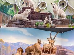 -陕西自然博物馆