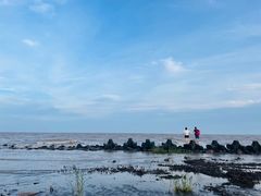 -南汇嘴观海公园