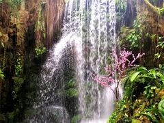 -华南国家植物园-售票处