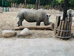 -北京野生动物园