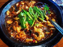 -都江堰石锅鱼