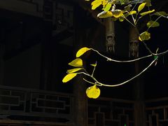 -尧坝古镇