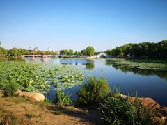 -长春市南湖公园