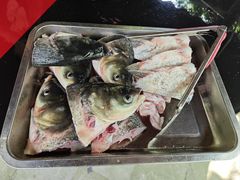 -老杨砂锅鱼庄