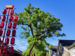 -慈城古县城景区