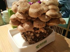 -鲜货俚鲜火锅(青果路店)