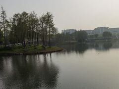 -尚贤河湿地