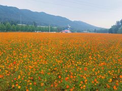 -大连铭湖国际观光牧场