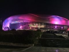 iphone_upload_pic-宝能国际体育演艺中心