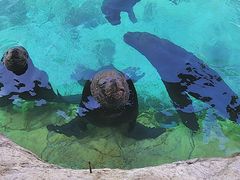 -珠海长隆海洋王国