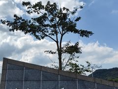 -艾米稻香小镇