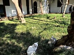 -西园戒幢律寺