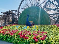 -呀路古热带植物园