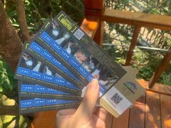 -将军关探险漂流