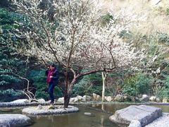 -太湖源风景区