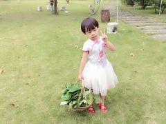 -广悦华阳朔河畔度假酒店(十里画廊遇龙河店)