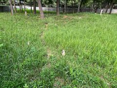 -合肥野生动物园