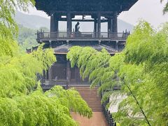 -大唐贡茶院