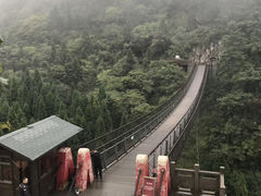 -娄山关景区