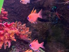 -沈阳海洋探索中心