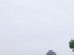 -眉山湿地公园(东坡区)