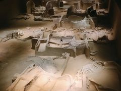 -洛阳周王城天子驾六博物馆