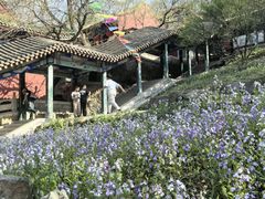 -封龙山风景区