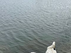 -长春世界雕塑园
