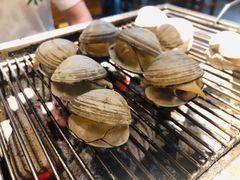 白蚬子-丹东特色烤肉(学府路一部店)