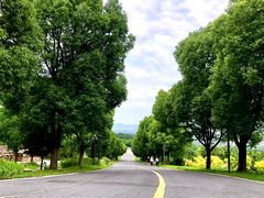 -南京市江宁方山