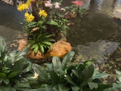 -广州白天鹅宾馆