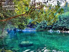 -石台牯牛降景区