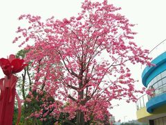 android_upload_pic-荔湾区儿童公园