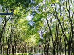 -东郊湿地公园