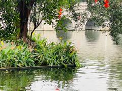 -荔湾湖公园