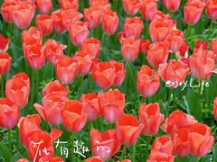 -无锡梅园公园