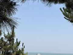 -日照海滨国家森林公园