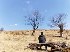 -硗碛藏寨·神木垒景区
