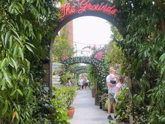 -The Grounds of Alexandria
