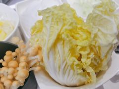-海底捞火锅(吾悦国际广场店)