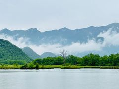 -大九湖